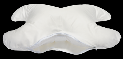 Do you know what’s in your Pillow?
