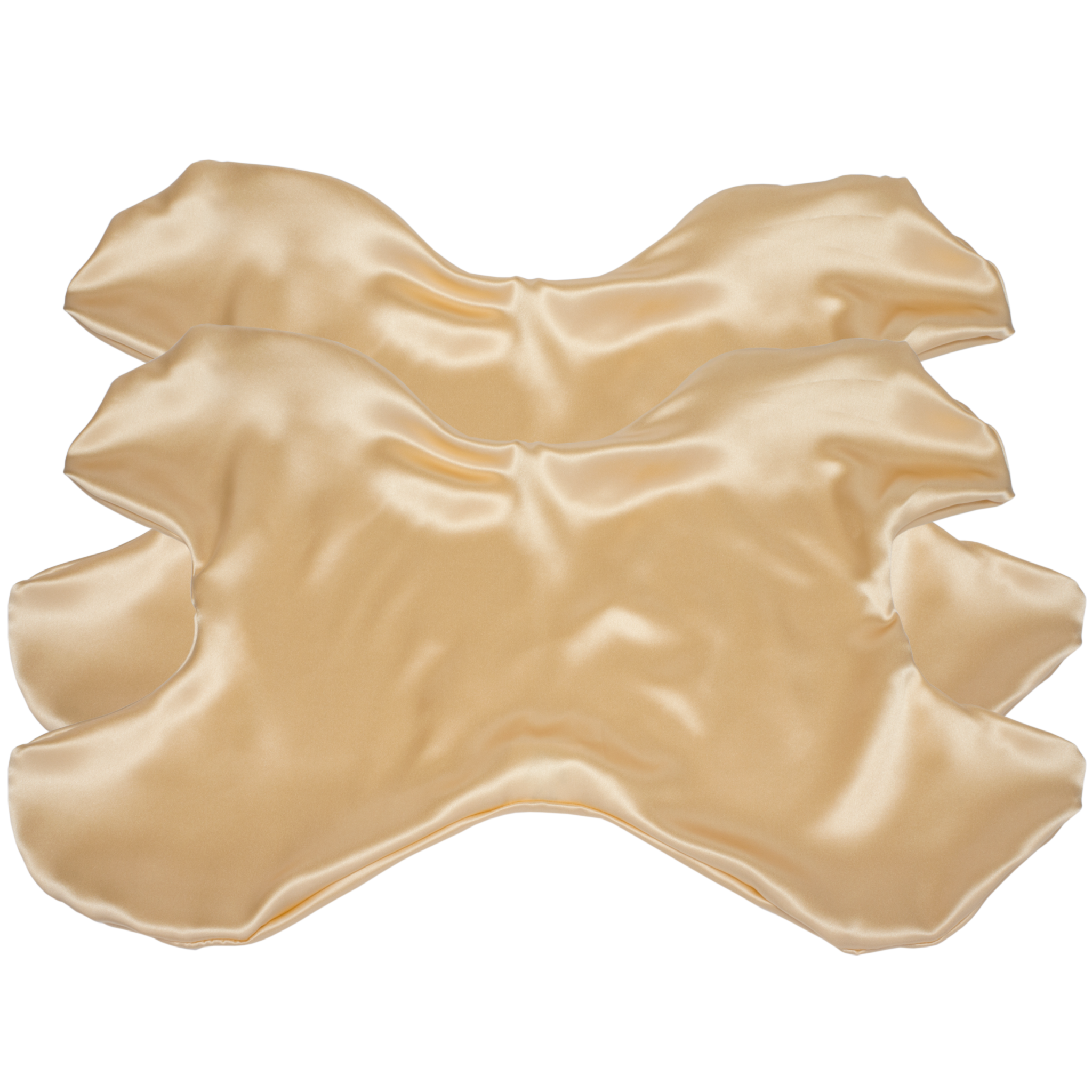 Additional Le Grand Pillowcase Silk Set of 2 (Save $4!)