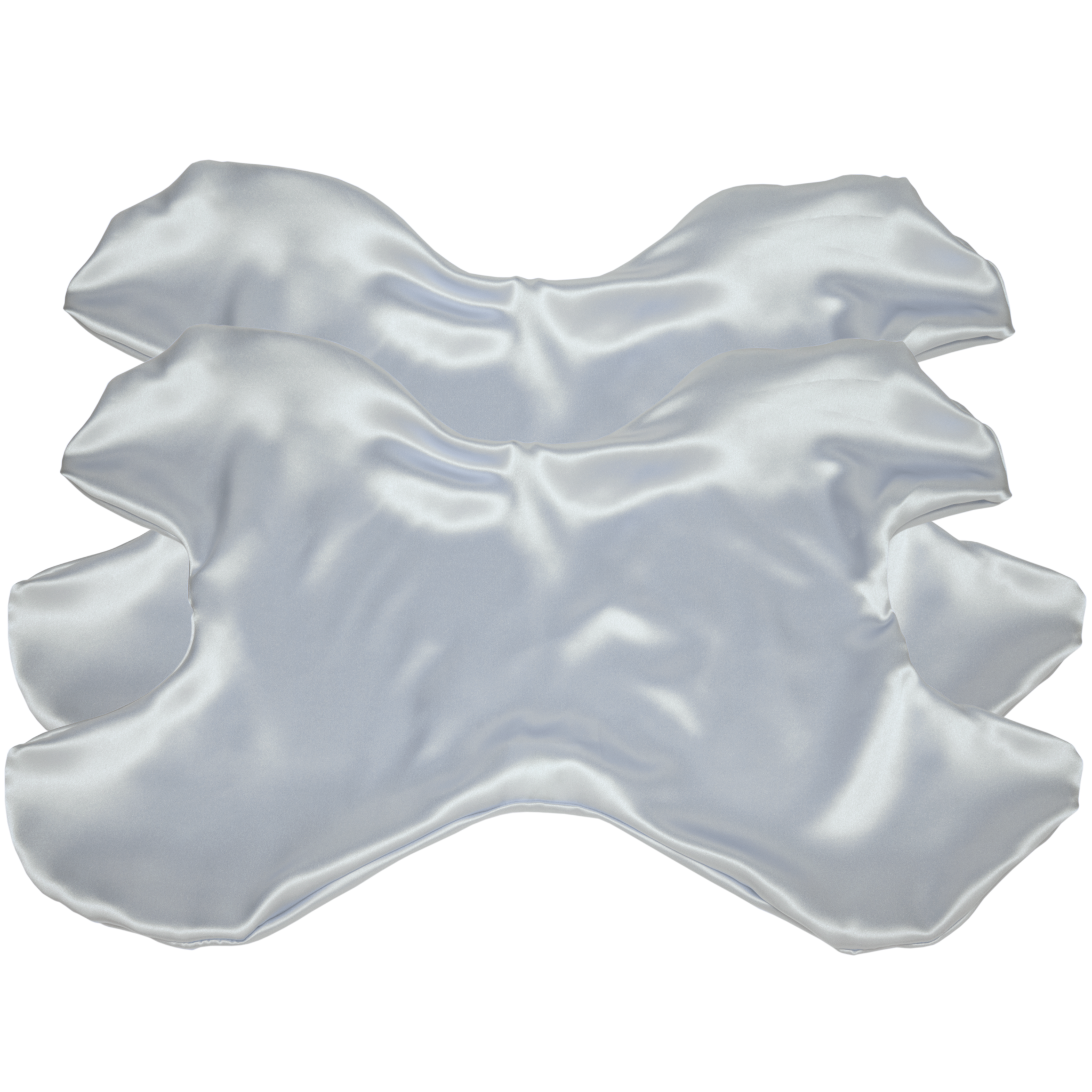 Additional Le Grand Pillowcase Silk Set of 2 (Save $4!)