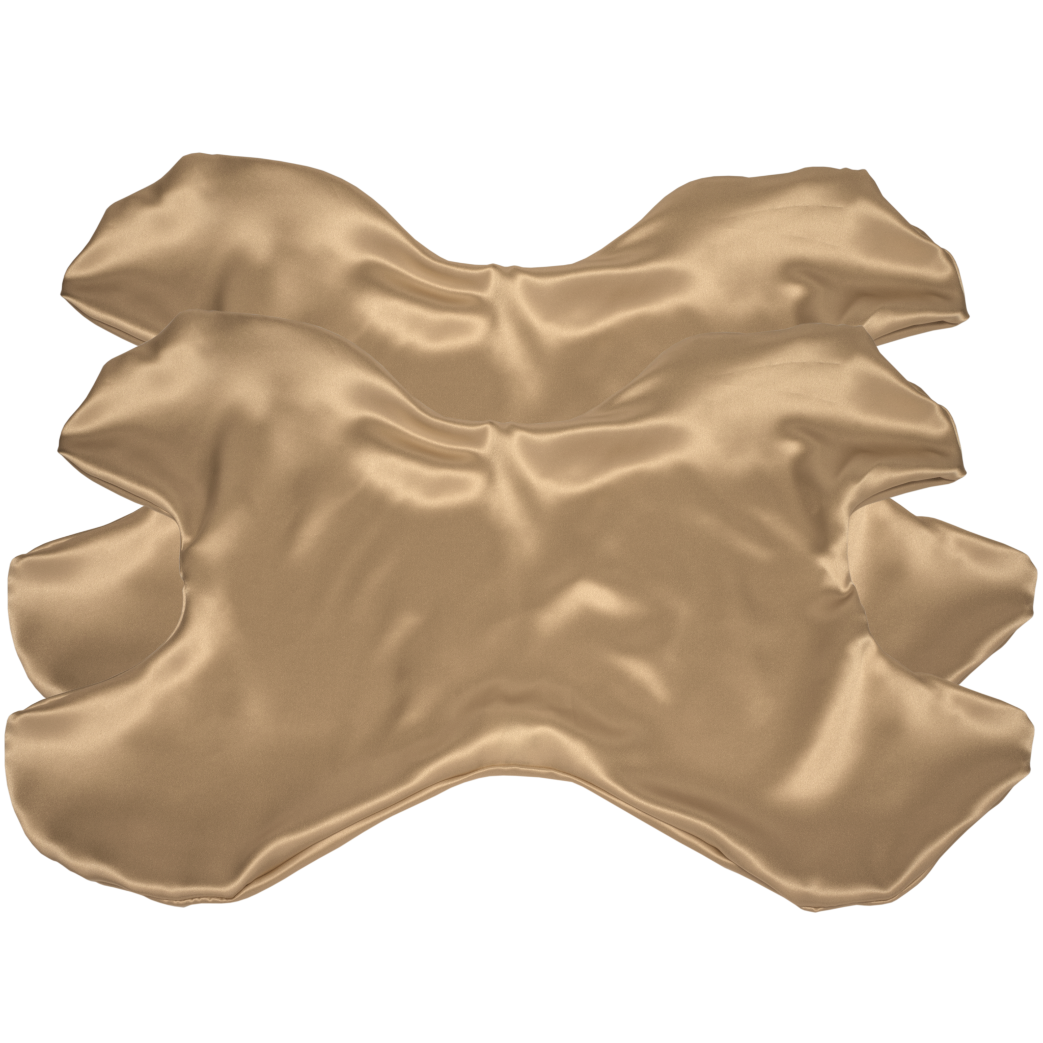 Additional Le Grand Pillowcase Silk Set of 2 (Save $4!)