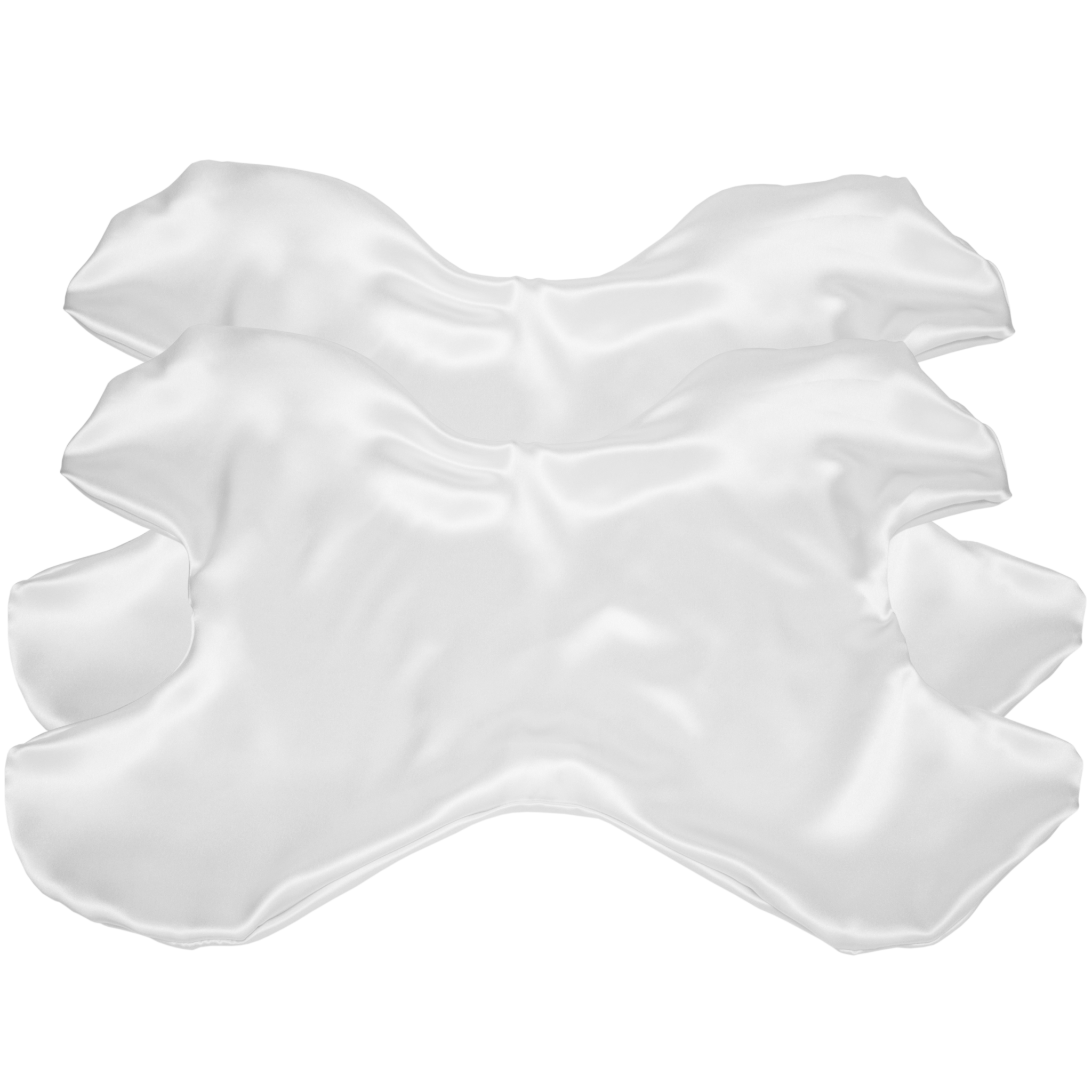 Additional Le Grand Pillowcase Silk Set of 2 (Save $4!)