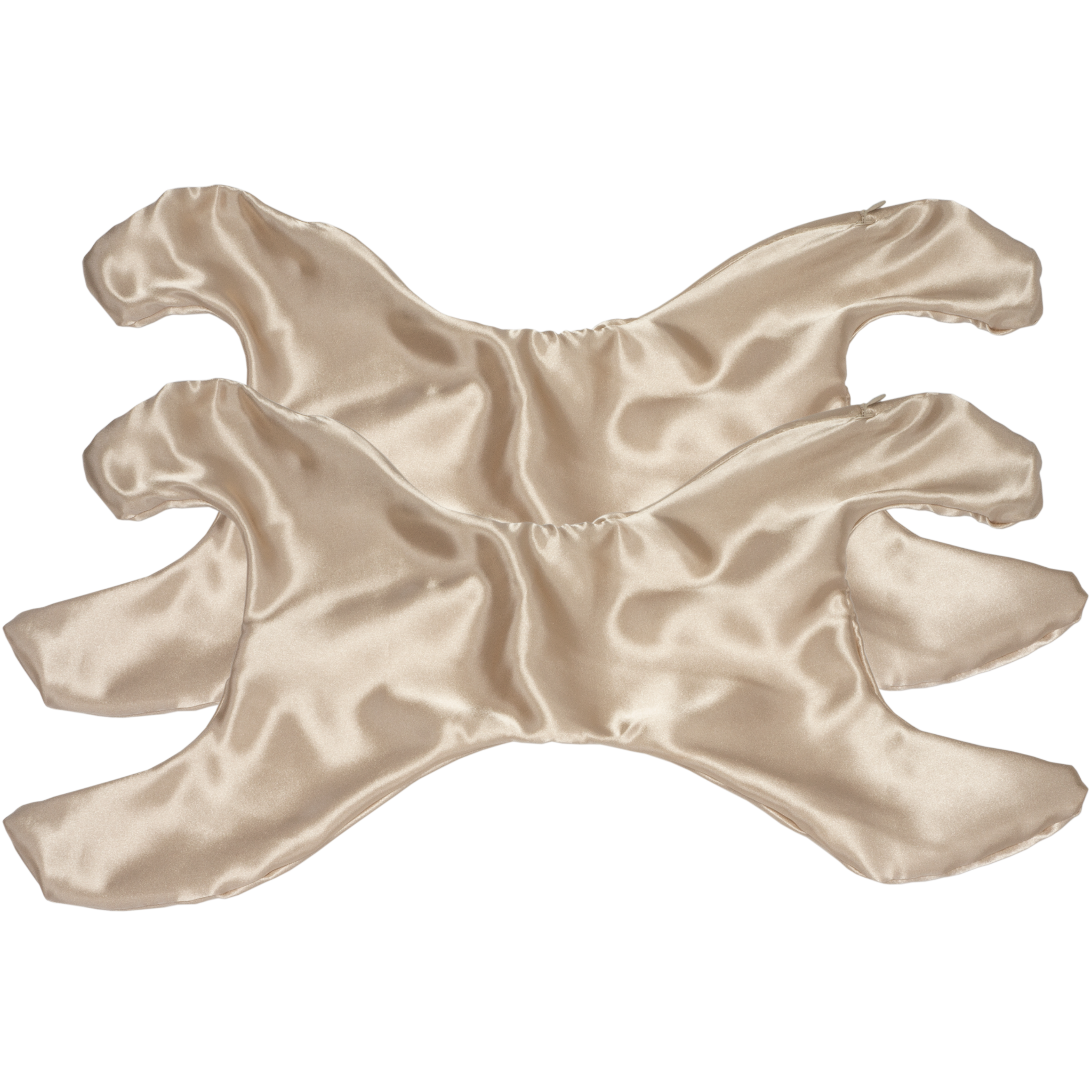 Additional La Petite Pillowette Case Satin Set of 2 (Save $4!)