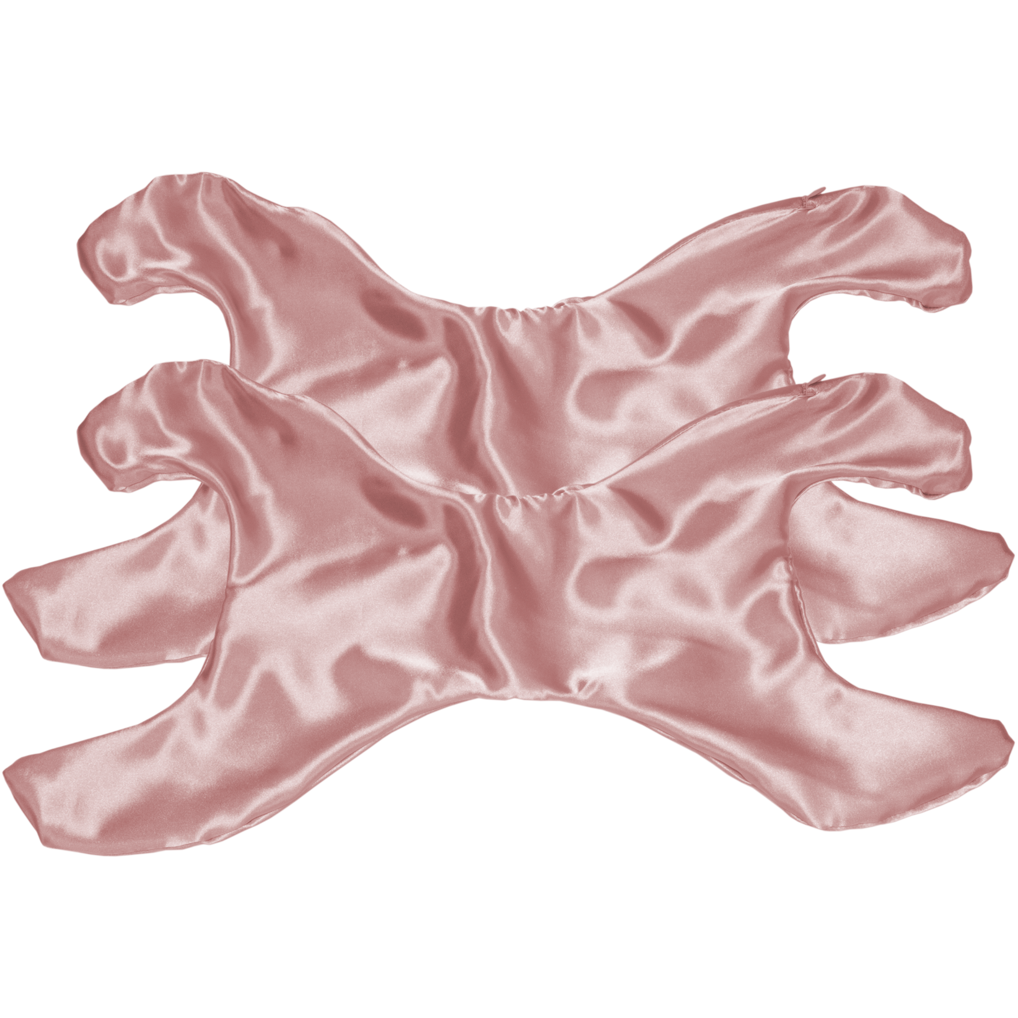 Additional La Petite Pillowette Case Satin Set of 2 (Save $4!)