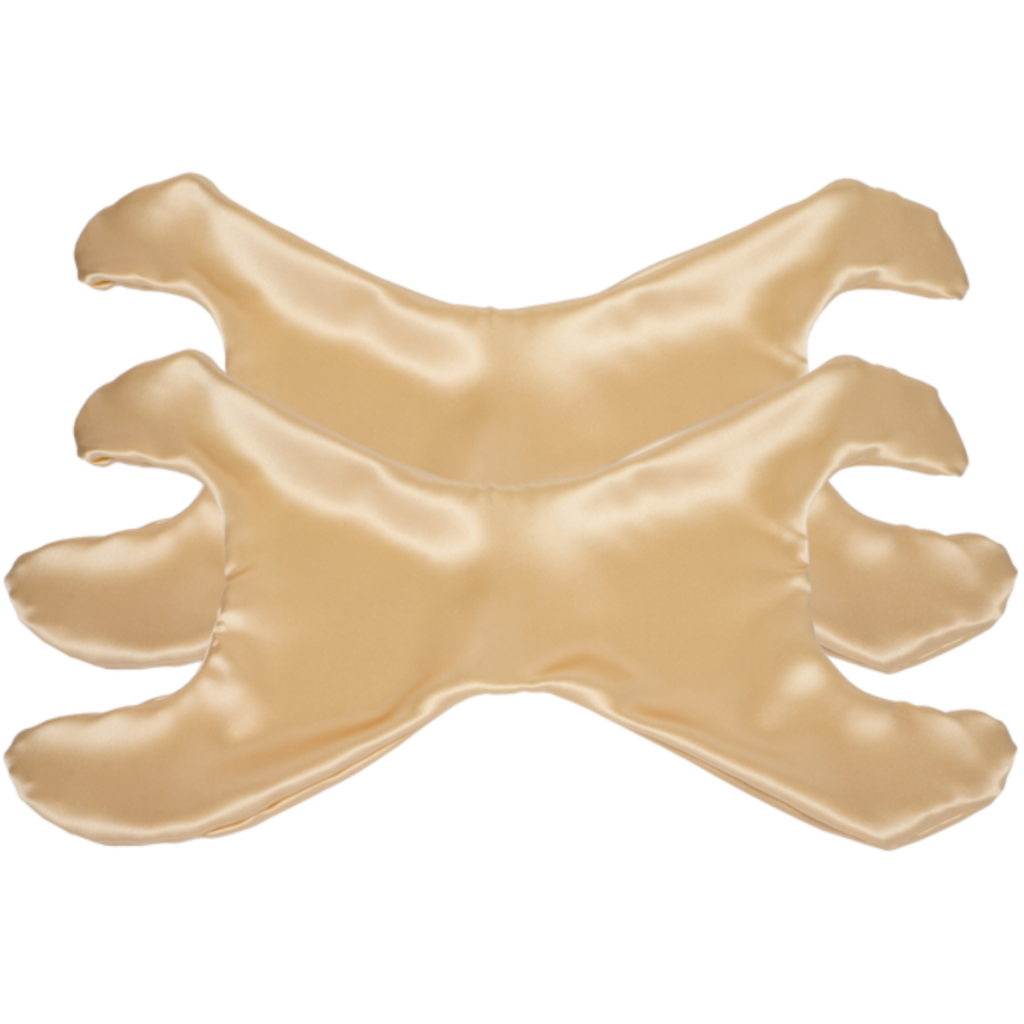 Additional La Petite Pillowette Case Silk Set of 2 (Save $4!)