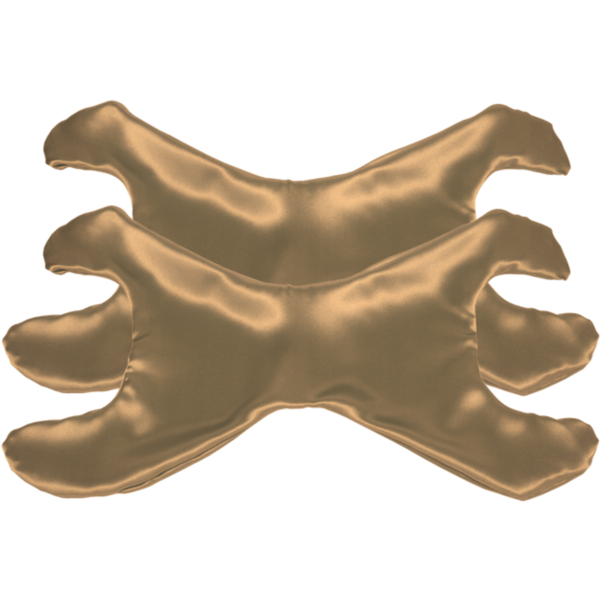 Additional La Petite Pillowette Case Silk Set of 2 (Save $4!)